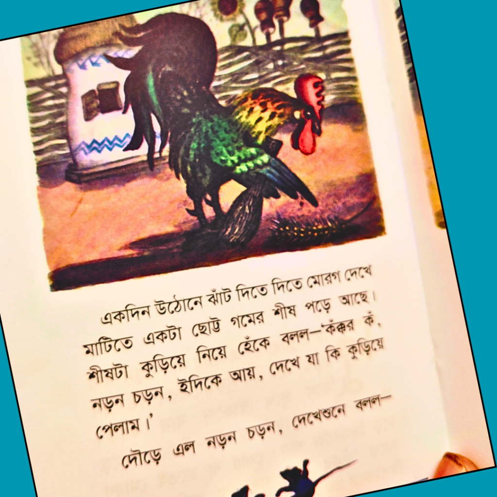 গমের শীষ