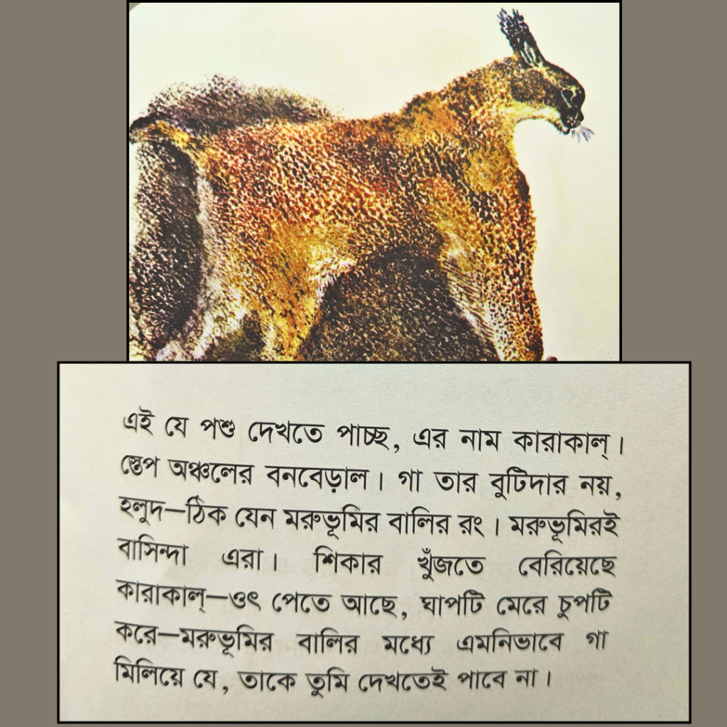 নানান জাতের পশু