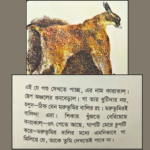 নানান জাতের পশু