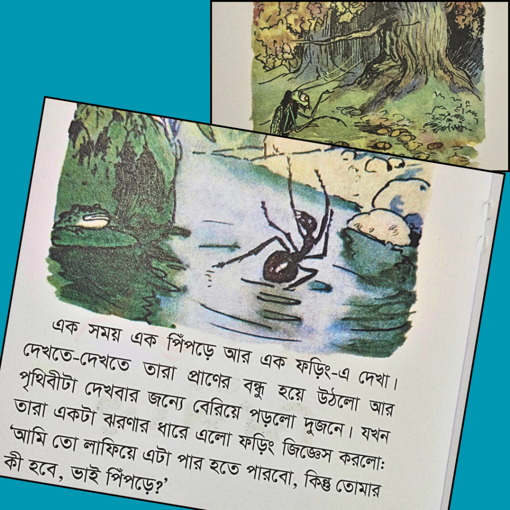 ফড়িং আর পিঁপড়ে