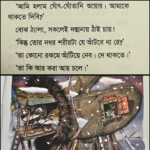 দাদুর দস্তানা