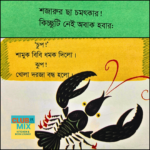 শজারুর দস্তানা