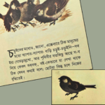 চড়ুইছানা